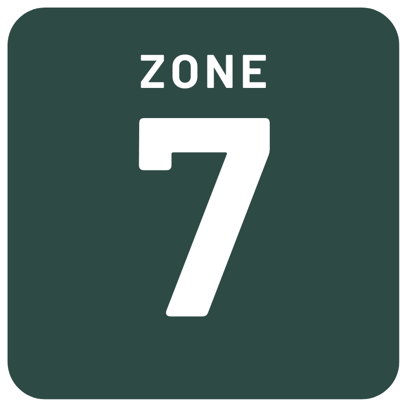 Zone 7