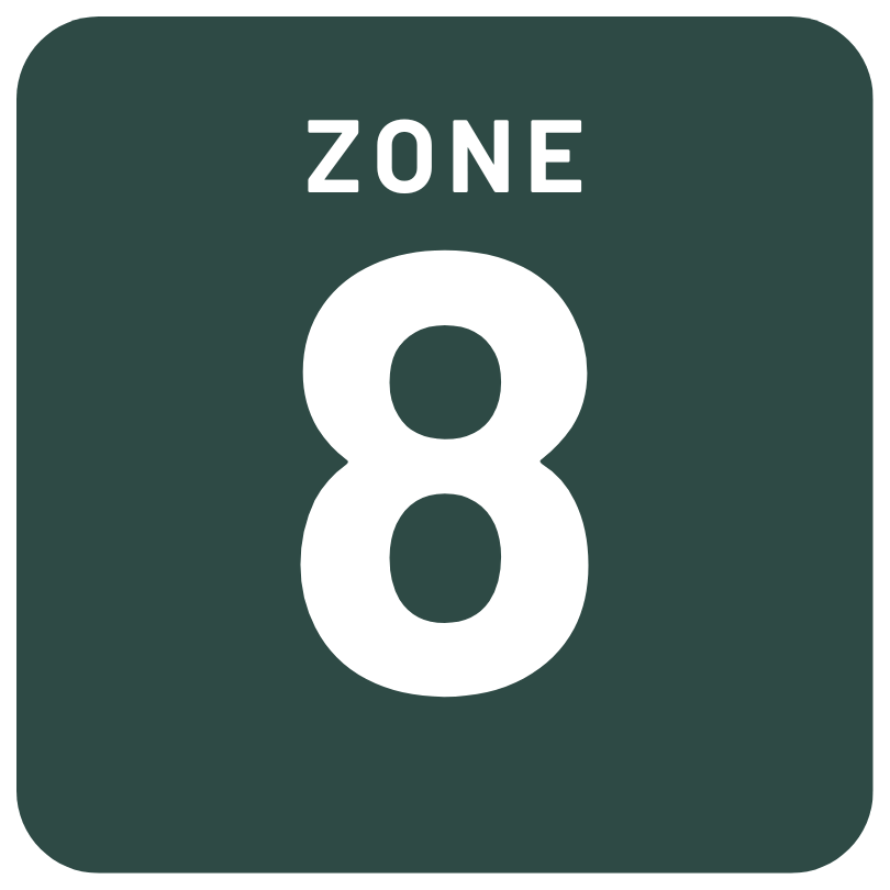 Zone 8